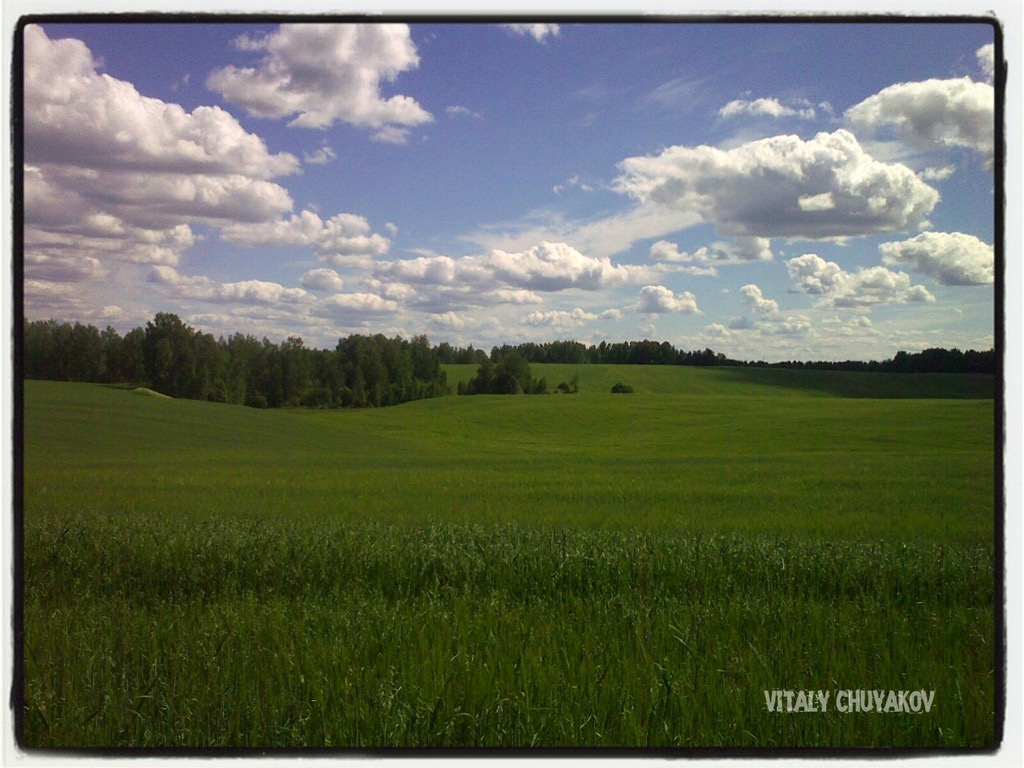 ДУХ ЛЕСА